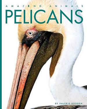 Pelicans by Valerie Bodden