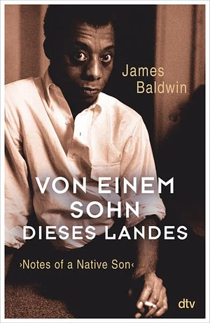 Von einem Sohn dieses Landes by James Baldwin, Miriam Mandelkow