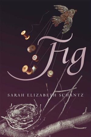 Fig by Sarah Elizabeth Schantz