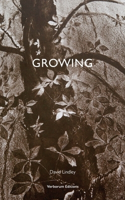 Growing by David Lindley