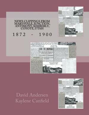 News Clippings from Marysvale, Junction, Antimony, Kimberly, Coyote, Utah: 1872 - 1900 by David Andersen, Kaylene Canfield