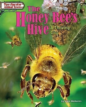 The Honey Bee's Hive: A Thriving City by Joyce L. Markovics