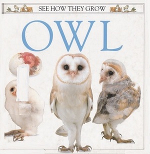 Owl (See How They Grow) by Kim Taylor