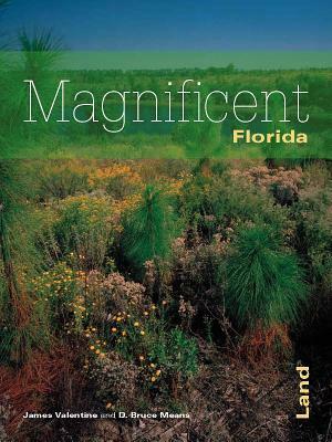 Florida's Magnificent Land by James Valentine