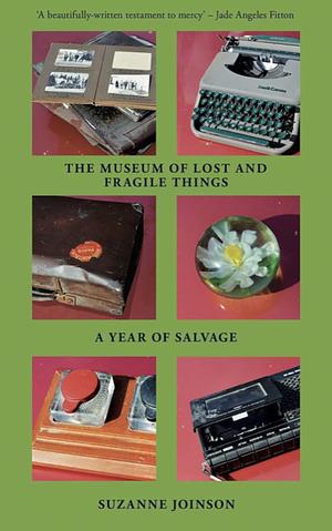 The Museum of Lost and Fragile Things by Suzanne Joinson