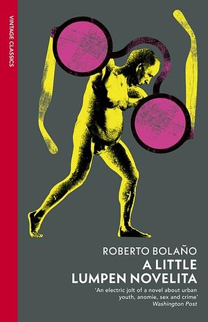 A Little Lumpen Novelita by Roberto Bolaño