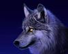 blackwolf294's profile picture