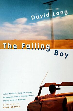 The Falling Boy: A Novel by David Long