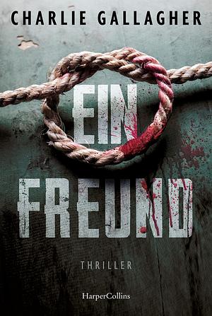 Ein Freund: Thriller by Charlie Gallagher, Edigna Hackelsberger