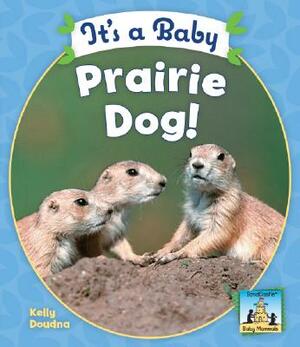 It's a Baby Prairie Dog! by Kelly Doudna