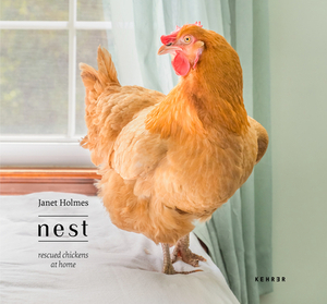 Nest: Rescued Chickens at Home by Janet Holmes