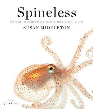 Spineless: Portraits of Marine Invertebrates, the Backbone of Life by Susan Middleton