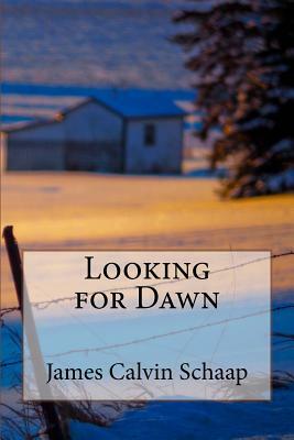Looking for Dawn by James Calvin Schaap