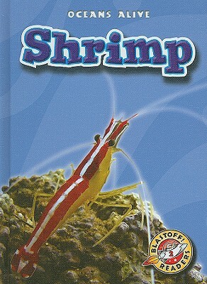 Shrimp by Colleen Sexton