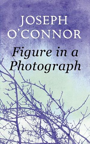 Figure in a Photograph: A Short Story from 'Where Have You Been?' by Joseph O'Connor