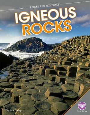 Igneous Rocks by Lisa Owings