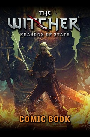 The Witcher: Reasons of State by Michał Gałek