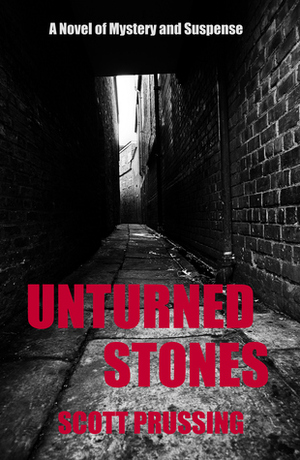 Unturned Stones by Scott Prussing