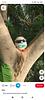 tinytinabeans's profile picture