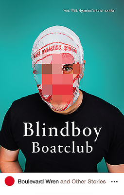 Boulevard Wren and Other Stories by Blindboy Boatclub