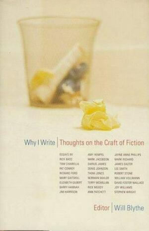 Why I Write: Thoughts On The Craft Of Fiction by Will Blythe