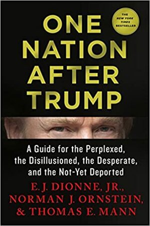 One Nation After Trump: A Guide for the Perplexed, the Disillusioned, the Desperate, and the Not-Yet Deported by E.J. Dionne Jr.