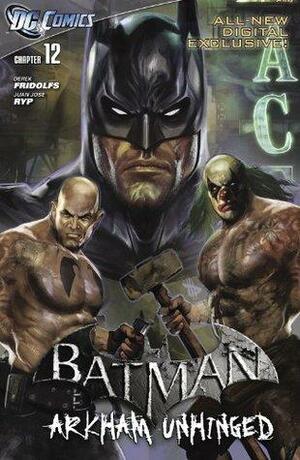 Batman: Arkham Unhinged #12 by Derek Fridolfs