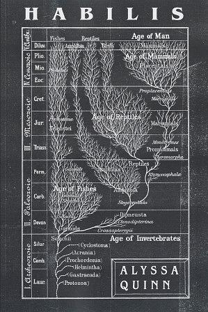 Habilis by Alyssa Quinn