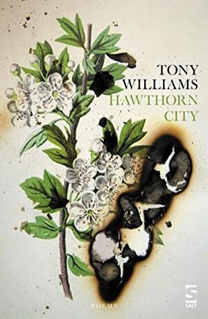 Hawthorn City by Tony Williams