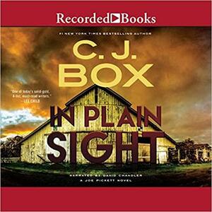 In Plain Sight by C. J