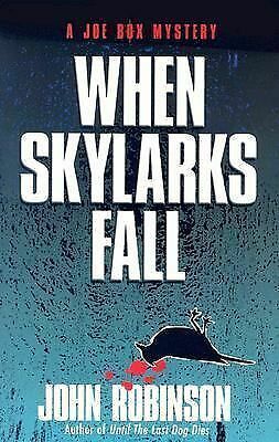 When Skylarks Fall by John Robinson