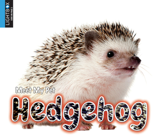 Hedgehog by Jared Siemens