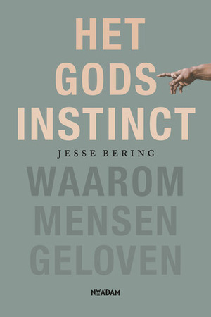 Het Godsinstinct: Waarom mensen geloven by Jesse Bering
