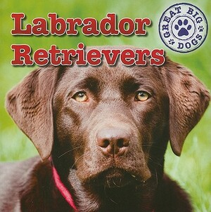 Labrador Retrievers by Maria Nelson