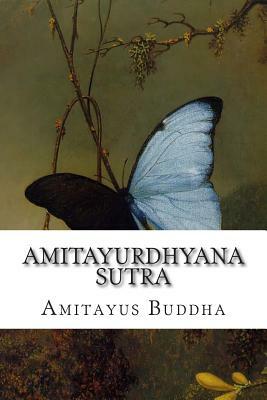Amitayurdhyana Sutra: The Buddha-Mindfulness Sutra of Amitayus, With Complementary Sutra of Transcendental Wisdom by Amitayus Buddha
