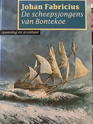 De scheepsjongens van Bontekoe by Johan Fabricius