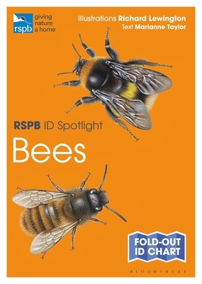 Rspb Id Spotlight - Bees by Marianne Taylor