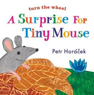 A Surprise for Tiny Mouse by Petr Horacek