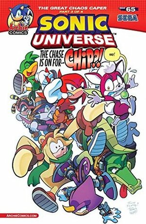 Sonic Universe #65 by Matt Herms, Tracy Yardley, Jim Amash, Jack Morelli, Ian Flynn