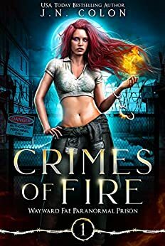 Crimes of Fire by J.N. Colon