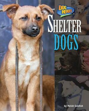 Shelter Dogs by Meish Goldish