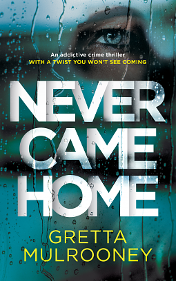 Never Came Home by Gretta Mulrooney