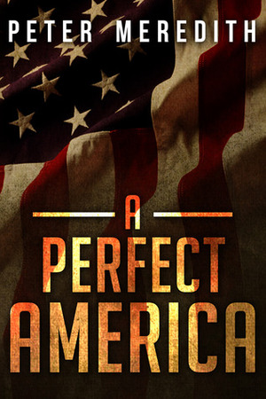 A Perfect America by Peter Meredith