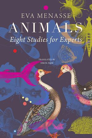 Animals: Eight Studies for Experts by Eva Menasse