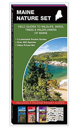 Maine Nature Set: Field Guides to Wildlife, Birds, Trees and Wildflowers of Maine by Waterford Press, James Kavanagh