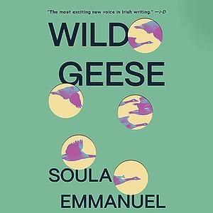 Wild Geese by Soula Emmanuel