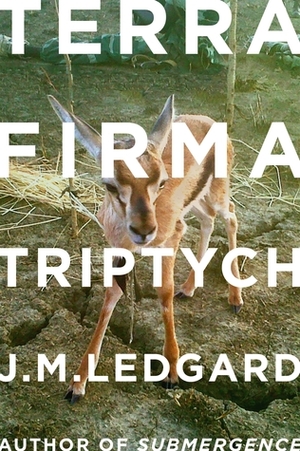 Terra Firma Triptych: When Robots Fly by J.M. Ledgard