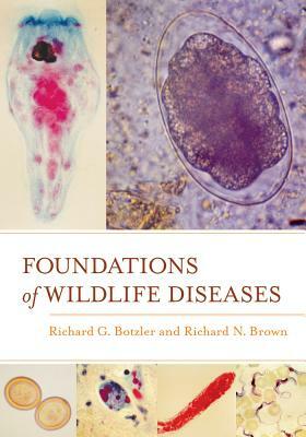 Foundations of Wildlife Diseases by Richard G. Botzler, Richard N. Brown