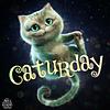 fictreader's profile picture