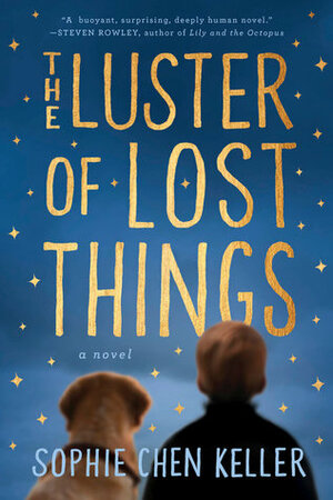 The Luster of Lost Things by Sophie Chen Keller